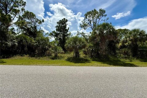 Land in North Port, Florida № 2224074 - photo 8