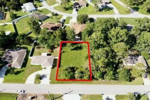 Terreno en venta en Palm Coast, Florida № 1855434 - foto 1