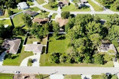 Terreno en venta en Palm Coast, Florida № 1855434 - foto 9
