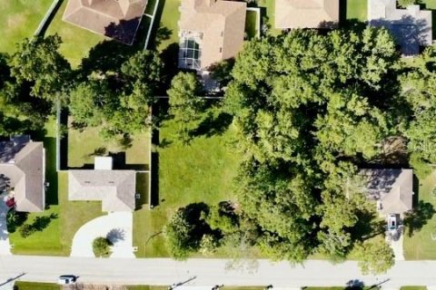 Terreno en venta en Palm Coast, Florida № 1855434 - foto 8