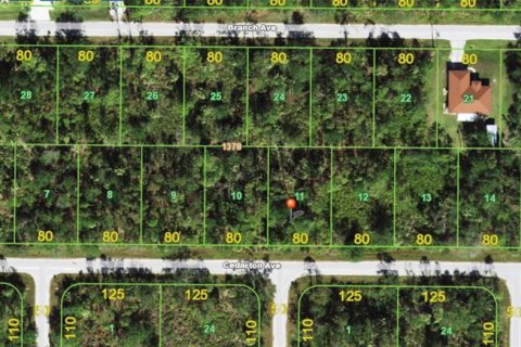 Land in Punta Gorda, Florida № 2164882