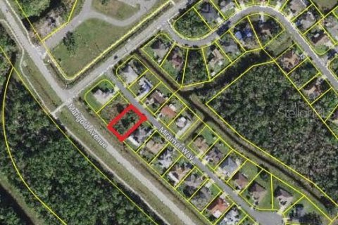 Land in Kissimmee, Florida № 1824070 - photo 2