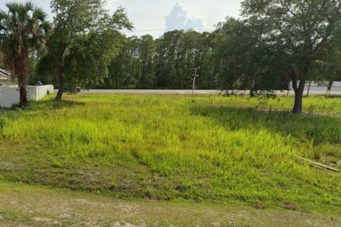 Land in Kissimmee, Florida № 1824070 - photo 1