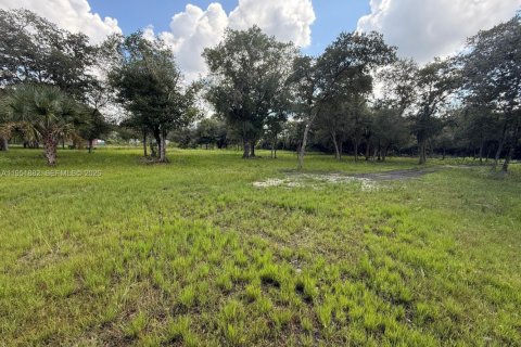 Terreno en venta en Clewiston, Florida № 2009045 - foto 4