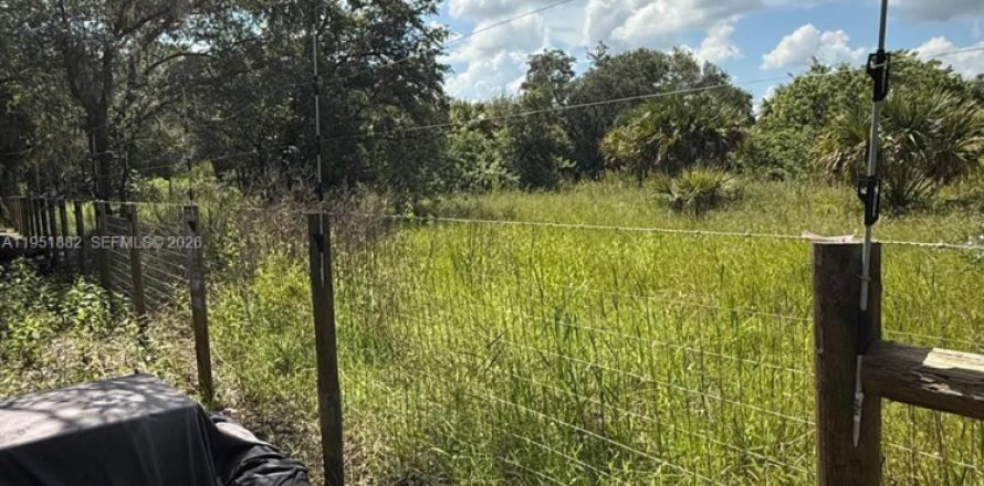 Terreno en Clewiston, Florida № 2009045