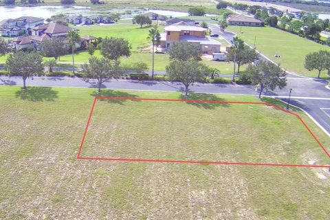 Land in Lake Alfred, Florida № 1215010 - photo 8