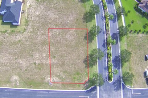 Land in Lake Alfred, Florida № 1215010 - photo 6