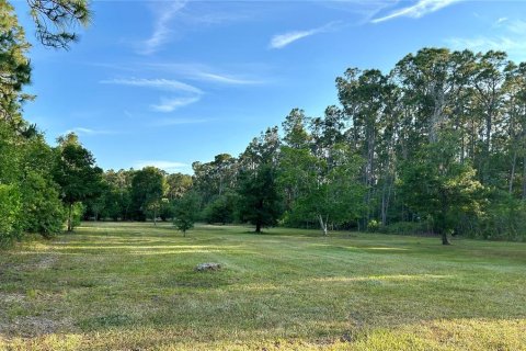 Land in Frostproof, Florida № 2339644