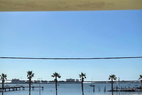 Studio in Gulfport, Florida № 1905236 - photo 12