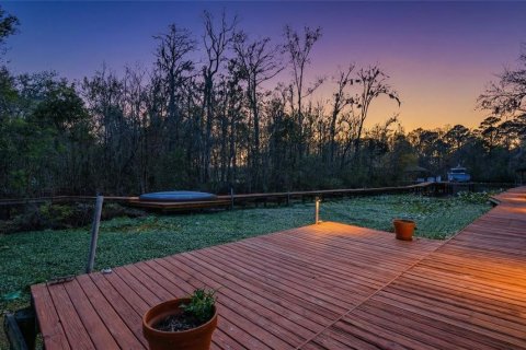 Villa ou maison à vendre à Saint Augustine, Floride: 5 chambres, 502.32 m2 № 2213173 - photo 5