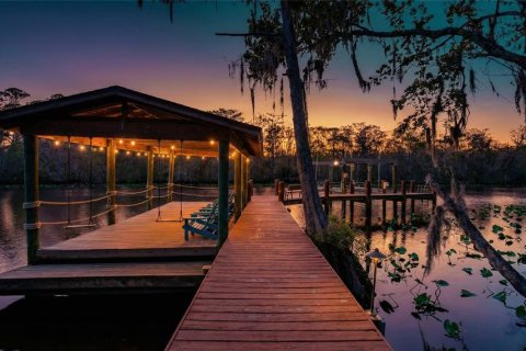 Villa ou maison à vendre à Saint Augustine, Floride: 5 chambres, 502.32 m2 № 2213173 - photo 3