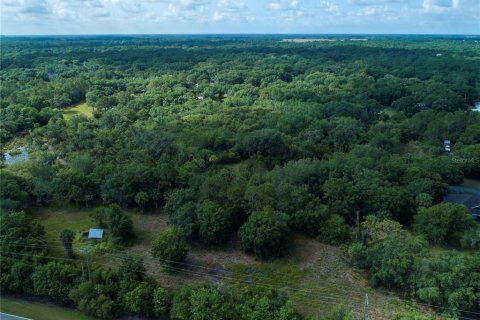 Land in Wimauma, Florida № 1336428 - photo 10