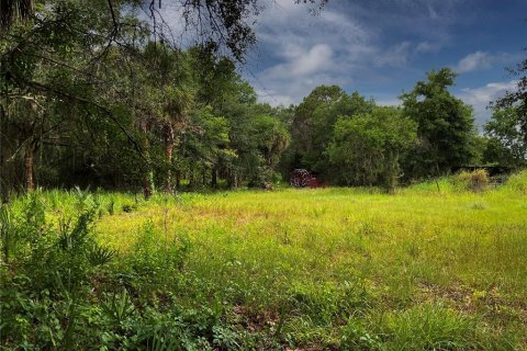 Land in Wimauma, Florida № 1336428 - photo 15