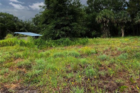 Land in Wimauma, Florida № 1336428 - photo 3