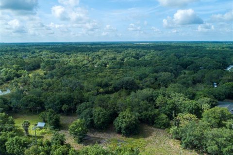 Land in Wimauma, Florida № 1336428 - photo 11