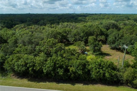 Land in Wimauma, Florida № 1336428 - photo 7