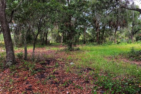 Land in Wimauma, Florida № 1336428 - photo 16