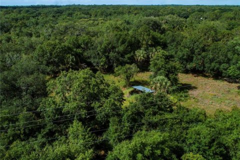 Land in Wimauma, Florida № 1336428 - photo 8