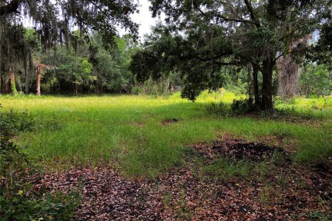 Land in Wimauma, Florida № 1336428 - photo 2