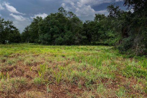 Land in Wimauma, Florida № 1336428 - photo 13