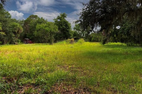 Land in Wimauma, Florida № 1336428 - photo 14