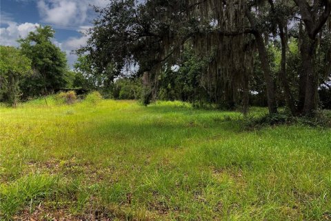 Land in Wimauma, Florida № 1336428 - photo 4