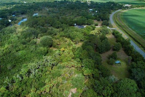 Land in Wimauma, Florida № 1336428 - photo 12