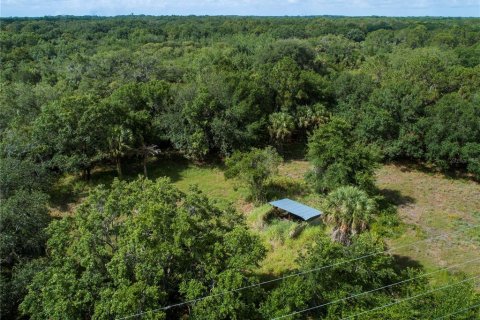 Land in Wimauma, Florida № 1336428 - photo 9