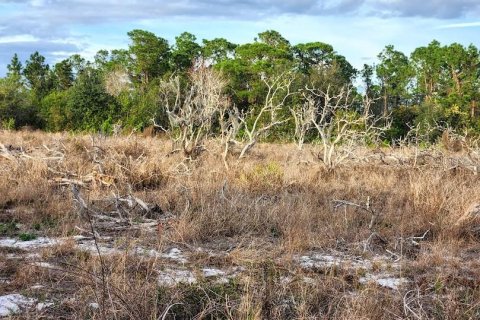 Terreno en venta en Frostproof, Florida № 1555401 - foto 15
