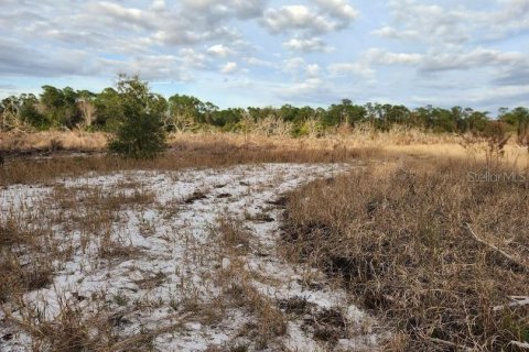 Terreno en venta en Frostproof, Florida № 1555401 - foto 17