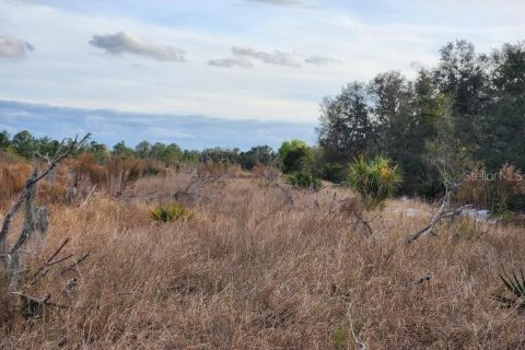 Terreno en venta en Frostproof, Florida № 1555401 - foto 10