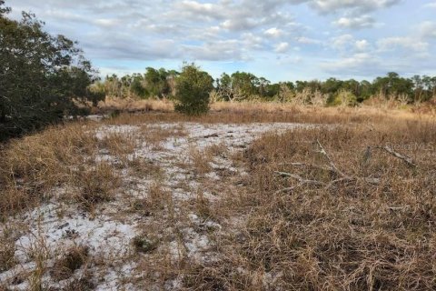 Terreno en venta en Frostproof, Florida № 1555401 - foto 2