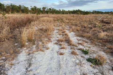 Terreno en venta en Frostproof, Florida № 1555401 - foto 4