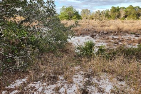 Terreno en venta en Frostproof, Florida № 1555401 - foto 6