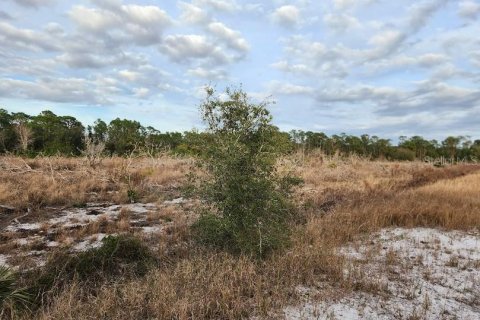 Terreno en venta en Frostproof, Florida № 1555401 - foto 21