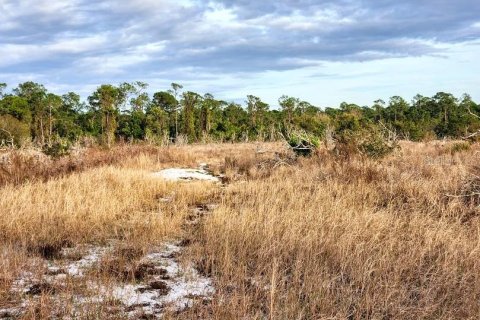 Terreno en venta en Frostproof, Florida № 1555401 - foto 13