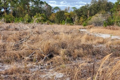 Terreno en venta en Frostproof, Florida № 1555401 - foto 7