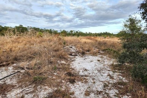 Terreno en venta en Frostproof, Florida № 1555401 - foto 5