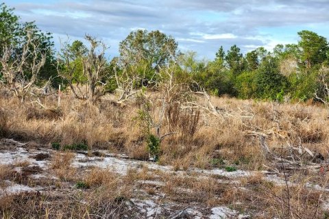 Terreno en venta en Frostproof, Florida № 1555401 - foto 14