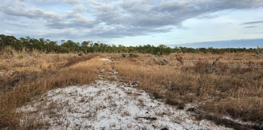 Terreno en Frostproof, Florida № 1555401