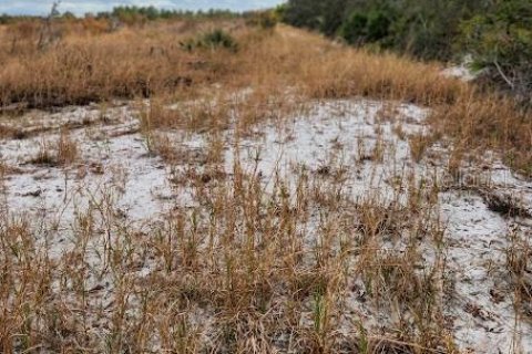 Terreno en venta en Frostproof, Florida № 1555401 - foto 29