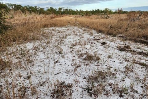 Terreno en venta en Frostproof, Florida № 1555401 - foto 20