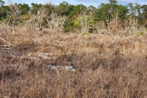 Terreno en venta en Frostproof, Florida № 1555401 - foto 12