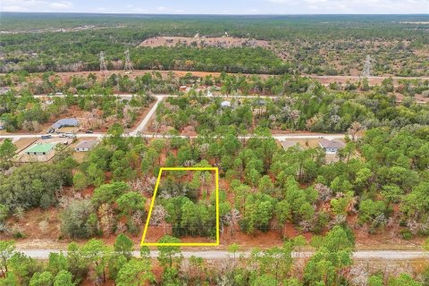 Land in Weeki Wachee, Florida № 2160996