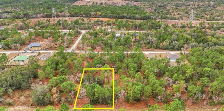 Land in Weeki Wachee, Florida № 2160996
