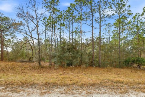 Land in Weeki Wachee, Florida № 2160996 - photo 3