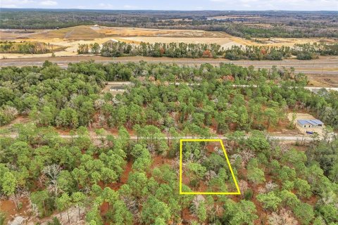 Land in Weeki Wachee, Florida № 2160996 - photo 5