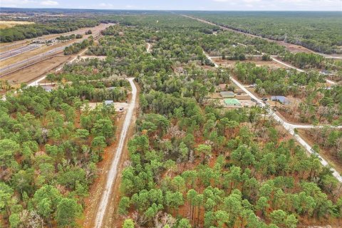 Land in Weeki Wachee, Florida № 2160996 - photo 2