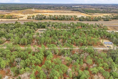 Land in Weeki Wachee, Florida № 2160996 - photo 6