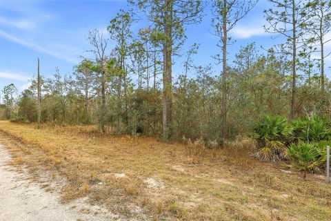 Land in Weeki Wachee, Florida № 2160996 - photo 4